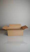 Kit 50 Caixas de Papelão 24x15x10cm Pardo Reforçado