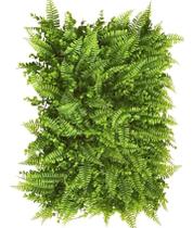 Kit 50 Placas De Samambaia Eucalipto 40 x 60cm Muro Inglês Jardim Vertical