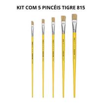Kit 5un Pincel Chato Reto 815 Cerda Tigre