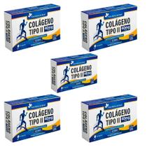 Kit 5x Colágeno Tipo II 40mg 5x60 cps Flora Nativa