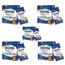 Kit 5x Creatina Sênior Fases + Associações Tangerina 5x20 sachês 200 gramas cada Flora Nativa Sabor:Tangerina Kit 5x Creatina Sênior Fases + Associações Tangerina 5x20 sachês 200 gramas cada Flora Nativa Sabor:Tangerina