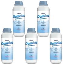 Kit 5X Limpa Bordas Domclor 1L Limpeza Para Piscina