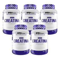 Kit 5X Premium Creatina 100G