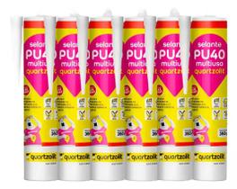 Kit 6 Adesivo Silicone Pu40 Multiuso Flexmax Profissional