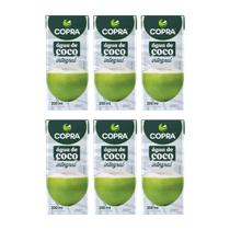 Kit 6 agua de coco integral 200ml copra bebida natural hidratante sem açucar vitamina c