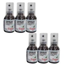 Kit 6 Aromatizante Bucal Própolis e Gengibre 30Ml - Essenza