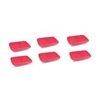 Kit 6 Assadeira Lasanheira Vidro Tampa 3,7l Marinex Travessa