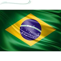 Kit 6 Bandeiras do Brasil 1,50x0,90mt Oficial Kit 6 Bandeiras do Brasil 1,50x0,90mt Oficial