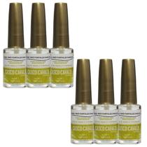 Kit 6 Base Pró Fortalecimento Casco Cavalo 8Ml - Trop Care Kit 6 Base Pró Fortalecimento Casco Cavalo 8Ml - Trop Care