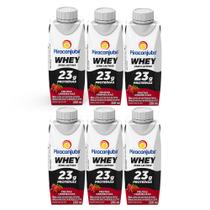Kit 6 Bebida Láctea Piracanjuba Whey Zero Lactose Frutas Vermelhas 250ml