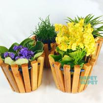 Kit 6 Cachepô Nicho Vaso redondo peq. p/ Jardim Vertical