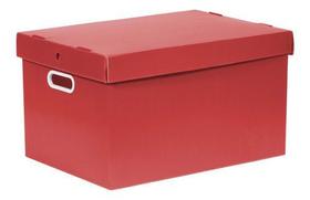 Kit 6 Caixas Organizadoras Prontobox 36,5 L Várias Cores - Polycart