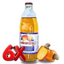 KIT 6 Cajuina Suco 480ml (ATACADO) KIT 6 Cajuina Suco 480ml (ATACADO)