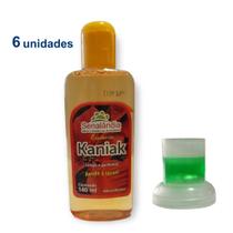 Kit 6 Cheirinho Concentrado Desinfetante Limpeza Essência Casa Ambiente 140ml Senalândia - Envio Já