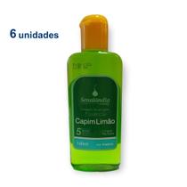 Kit 6 Cheirinho Concentrado Desinfetante Limpeza Essência Casa Ambiente 140ml Senalândia - Envio Já