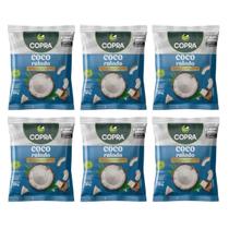 Kit 6 Coco Ralado Sem Açucar Menor Teor De Gordura 50G