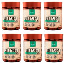 Kit 6 Colágeno Tipo II Puro Não Hidrolisado 60caps Nutrify