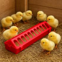 Kit 6 Comedouros Calha 30cm Para Aves Frangos e Pintinhos