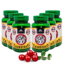 Kit 6 Cranberry desidratada 600 mg 60 cápsulas por frasco