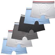 Kit 6 Cuecas Boxer Adulto Masculina Microfibra Box Premium - Rupee