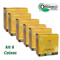 KIT 6 CX chá Espinheira Santa 60 sachês orgânico Campo Verde