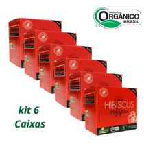 KIT 6 CX Chá hibiscus 60 sachês orgânico Campo Verde KIT 6 CX Chá hibiscus 60 sachês orgânico Campo Verde