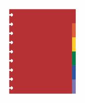 Kit 6 Divisorias Caderno de Discos Medio 9 Furos Colorida