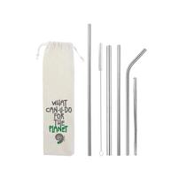 Kit 6 em 1 de Canudos Reutilizáveis em Inox com Canudo Longo Reto 25 cm