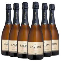 Kit 6 Espumantes Salton Prosecco Brut 750ml