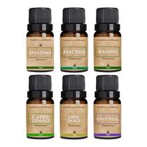 Kit 6 Essências Herbais Para Aromatizador / Difusor