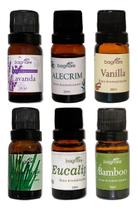 Kit 6 Essencias Para Difusor e Aromatizador de Aromas Cheiros Top 6 - Bagnare Cosmeticos