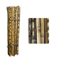 Kit 6 Estacas P/ Plantas Haste Natural Tutor Bambu 165cm