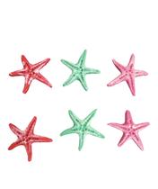 Kit 6 Estrelas do Mar de Resina Enfeite Decoração Aquários Kit 6 Estrelas do Mar de Resina Enfeite Decoração Aquários