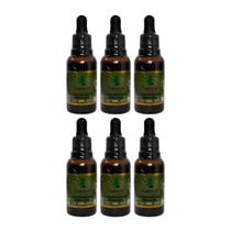 Kit 6 Extrato De Propolis Verde 30 Ml Gotas Natural Apicola Kit 6 Extrato De Propolis Verde 30 Ml Gotas Natural Apicola