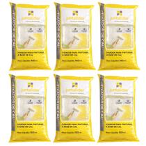 Kit 6 Fixadores de Cal Juntalider 150ml Alta Fixação