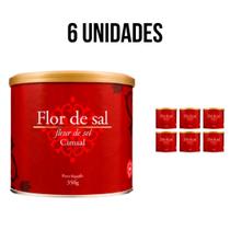 Kit 6 flor de sal cimsal 350g