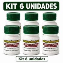 Kit 6 Frascos de Castanha da Índia Indiana - Suplemento Alimentar Natural com Frete Grátis