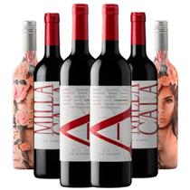 Kit 6 Garrafas Viña Vik Best Sellers