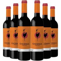 Kit 6 Garrafas Vinho Tinto Ciconia Alentejo 750ml