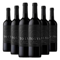 Kit 6 Garrafas Vinho Tolva Reserva Camenérè - Viña Del Pedregal