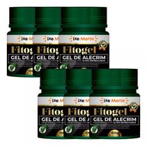 Kit 6 Gel de Alecrim Fitogel Combate Dor Muscular e Suaviza as Tensões do dia a dia