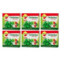 Kit 6 gelatina diet vitamina c plus limão com stevia 10g lowçucar