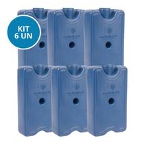 Kit 6 Gelo Placa Gel Artificial Reutilizável Rígido 200ml