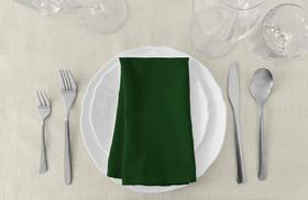 Kit 6 Guardanapos De Tecido Oxford Cores Lisas