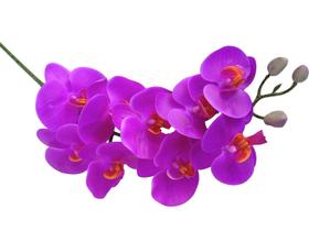 Kit 6 hastes de orquídeas Pink em silicone 3D - Decora Flores Artificiais