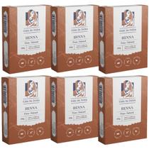 Kit 6 Hennas Indiana Pura 100% Natural para os Cabelos, 100g cada cada, Casa da India, Coloração Ruivo Acobreado