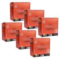 Kit 6 Hibiscus Chá Orgânico de Hibisco Campo Verde 10 sachês