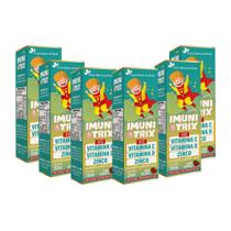 KIT 6 Imunitrix Kids (Vit. C +D+Zinco) 30ml Sabor Morango - Flora Nativa