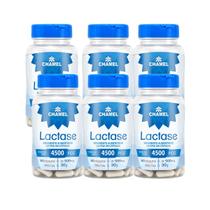 Kit 6 Lactase Chamel 4500 FCC 60 Cáp Suplemento Alimentar