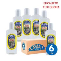 Kit 6 Limpador Concentrado Perfumado de Ambientes Eucalipto Citriodora Coala 120ml